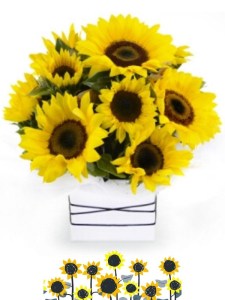 Sunflower Box arrangement